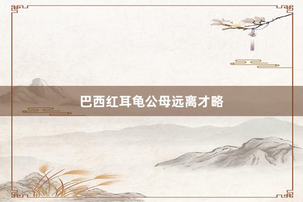 巴西红耳龟公母远离才略